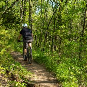 cyclist, trail, bike-5217020.jpg