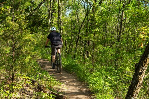 cyclist, trail, bike-5217020.jpg